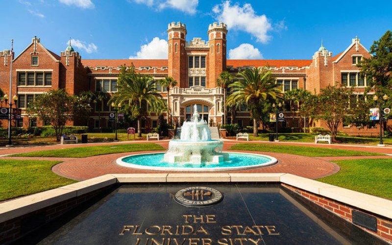 FSU em Foco: Como é estudar na Florida State University em Tallahassee?