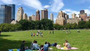 Muito mais que o Central Park: Conheça alguns dos melhores parques públicos dos EUA