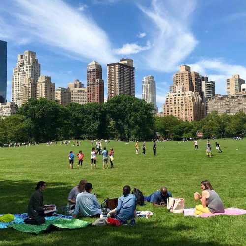 Muito mais que o Central Park: Conheça alguns dos melhores parques públicos dos EUA