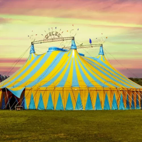 Circo nos EUA: Do Tradicional ao Contemporâneo, da Lona ao Palco