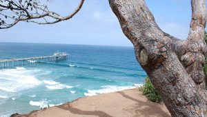 Rota das Praias da Califórnia: Descubra o Melhor do Oceano Pacífico