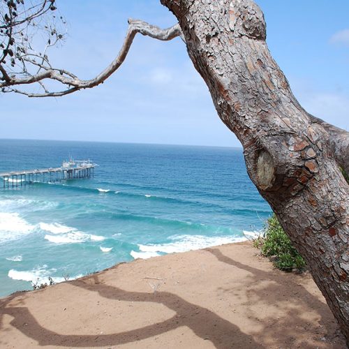 Rota das Praias da Califórnia: Descubra o Melhor do Oceano Pacífico